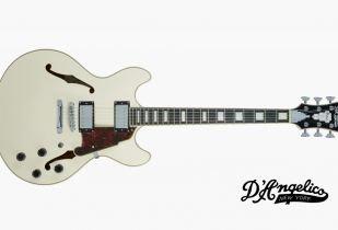 Win D'Angelico Premier Double Cut, Semi Hollow Guitar from XMusic