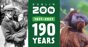 Win a family pass and goodie bag from Dublin Zoo