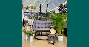 Win a bohemian egg chair, a barbacoa pro BBQ and a leafy areca palm plant from Ballyseedy Home & Garden