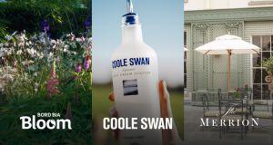 Win a luxury trip to Bloom 2022 with Coole Swan