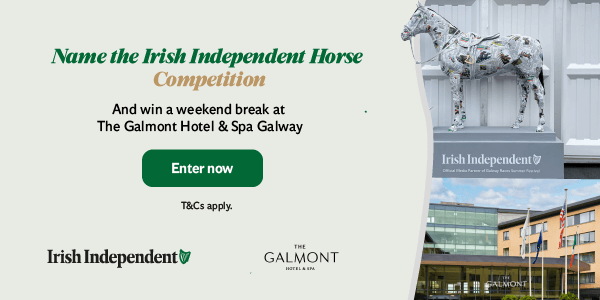 Name the Irish Independent Horse and win a weekend break at The Galmont Hotel & Spa