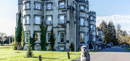 Win a Luxury 2 Night Escape to Ballyseede Castle in Kerry with Dinner, Wine & More